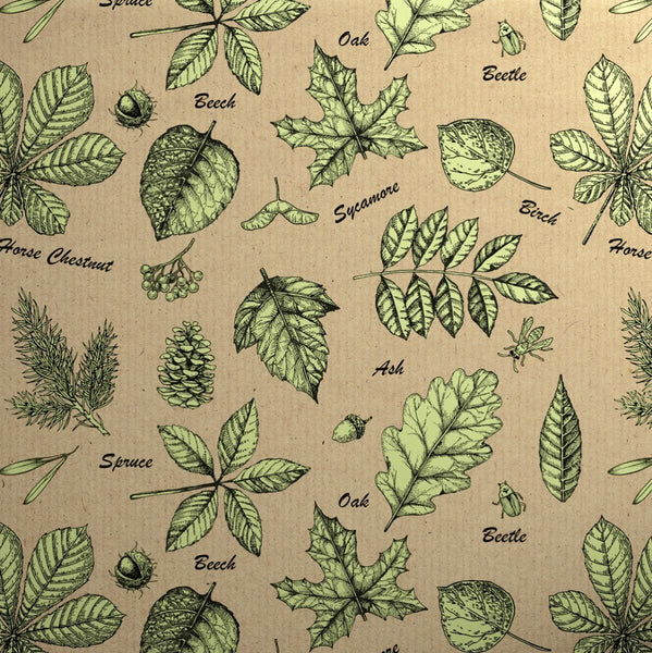Gift Wrap - Printed Kraft Paper Gift Wrap Pack 1 Roll - 2M - Botanical Leaves Green